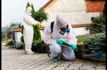 Control de plagas urbanas (cucarachas, hormigas, moscas, zancudos, arácnidos) 